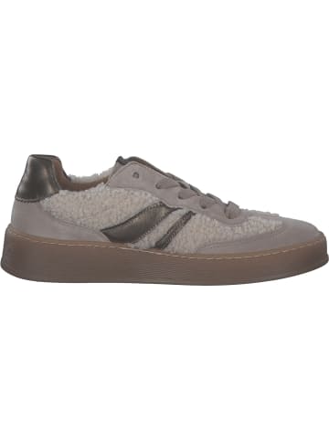 Gabor Comfort Schnürschuhe in panna/silk/fango