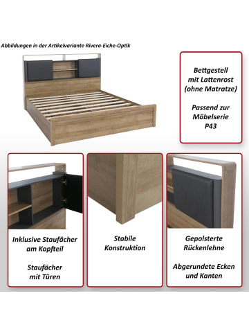 MCW Queen Size Bett P43, Rivera-Eiche-Optik, dunkelgrau