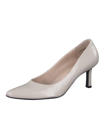 Paul Green Pumps in Beige Lack