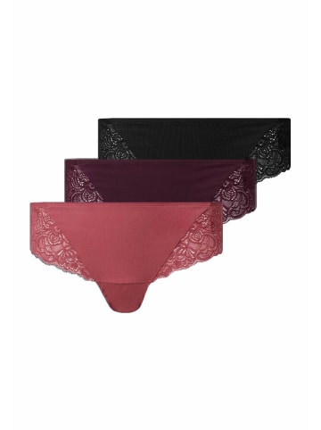 SNOCKS Brazilian Slips mit Spitze 3 Stück in Mix (Mauve/Weinrot/Schwarz)