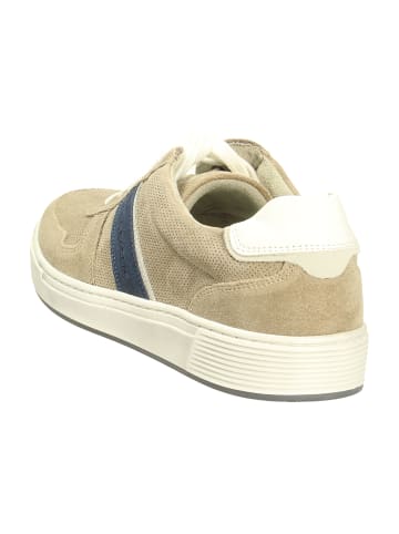Pius Gabor Sportliche Schnürschuhe in Beige