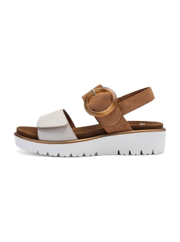 ara Sandalen in Braun