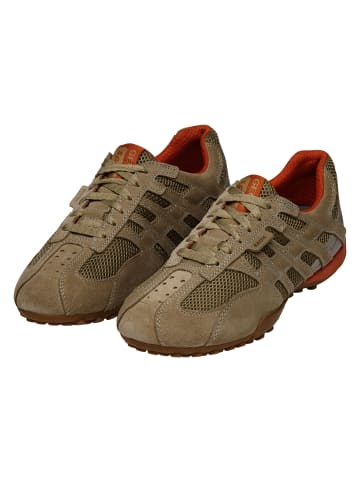 Geox Snake Original A in Beige