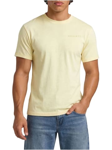 DENIMFY T-Shirt DENIMFY Tshirt Herren Regular Fit DFDiego 3er Set in Mehrfarbig