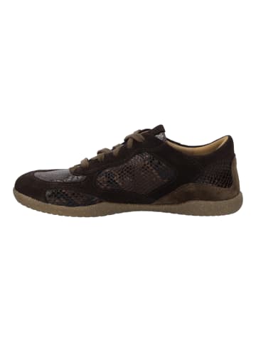 Josef Seibel Sneaker Cassandra 12 in braun