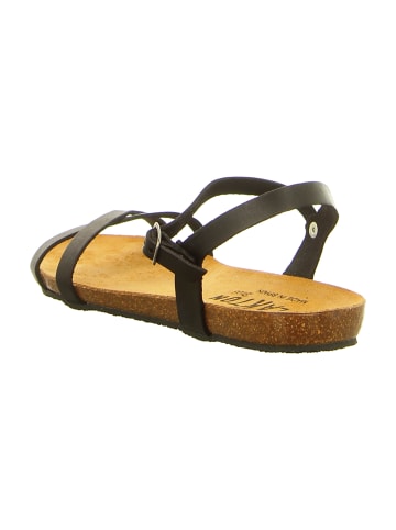 Plakton Sandalen in Schwarz
