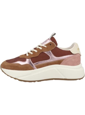 Steve Madden Sneaker low Starlyn in pink