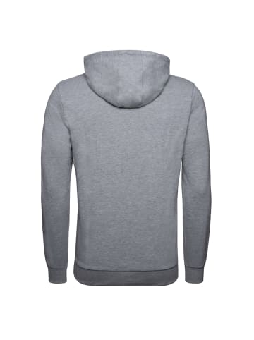 Hummel Kapuzenpullover IC Fred in grau