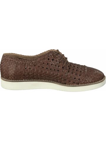 Allan K Sneaker für Damen in braun