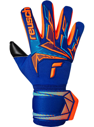 Reusch Torwarthandschuhe Attrakt Freegel Duo NC in 4127 sharp blu/shock orng/blck
