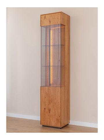 Feldmann-Wohnen Vitrine Collodi Wildeiche Natur 43 / 37 / 205cm