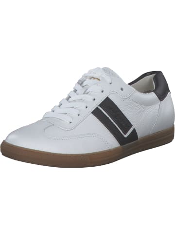 Paul Green Schnürschuhe in white/black