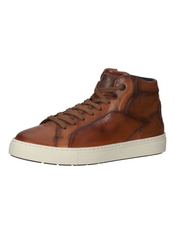 LLOYD Sneaker in Brandy