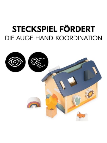 Hauck Holz Steck- und Motorik-Spiel - Haus mit in bunt