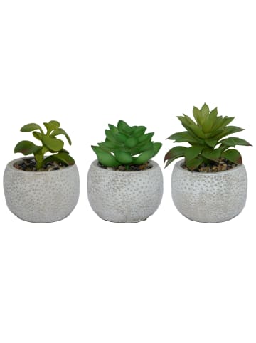 UNUS 3er Set Betontöpfe mit künstlichen Pflanzen in Grau