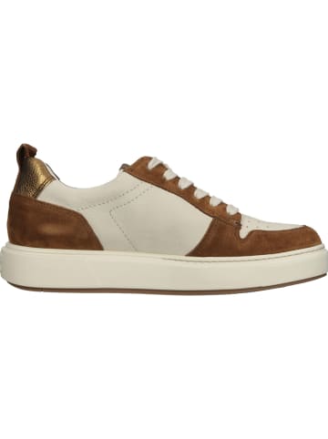 Paul Green Sportschuhe in beige