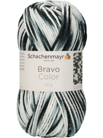 Schachenmayr since 1822 Handstrickgarne Bravo Color, 50g in Zebra color