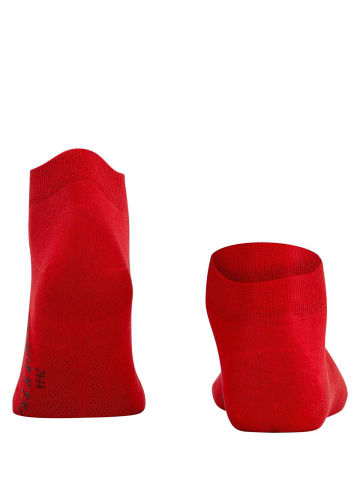 Falke Socken 1er Pack in Rot