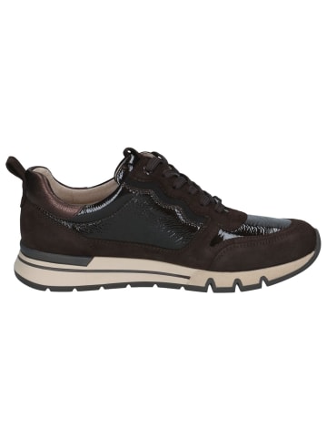 Caprice Sneaker in DK BROWN COMB