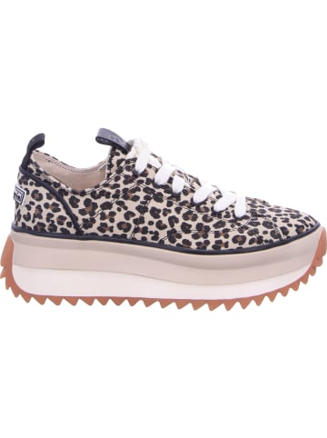 Tamaris Schnürschuh in LEOPARD