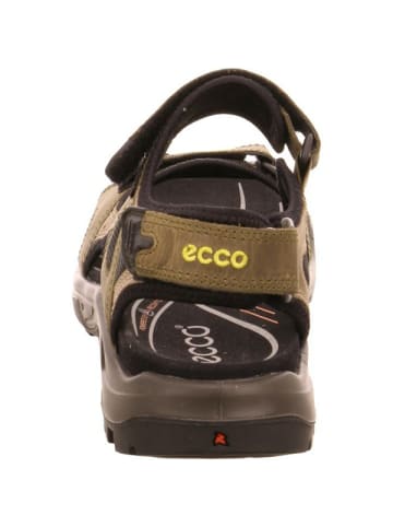 Ecco Outdoorsandalen für Herren in braun