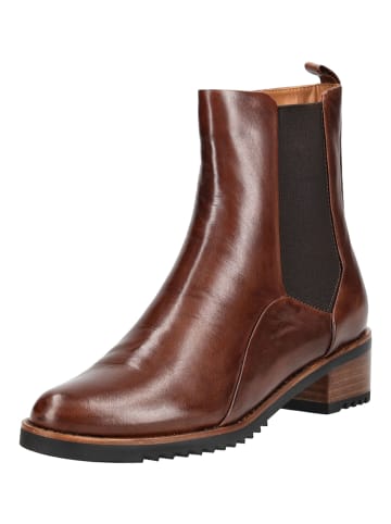 Everybody Stiefelette in Kastanie