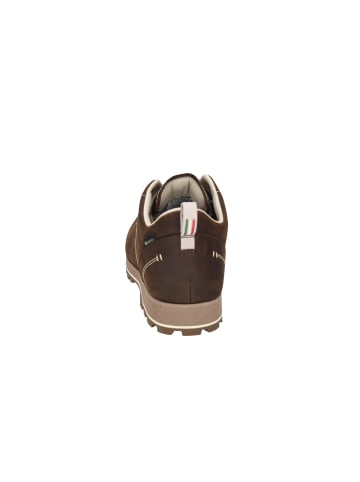 DOLOMITE Wanderschuh in braun