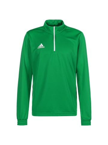 adidas Performance Trainingspullover Entrada 22 in grün / weiß