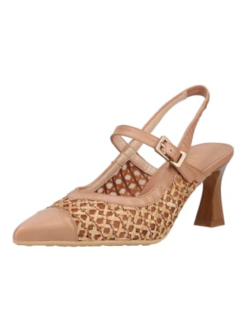 Hispanitas Pumps in Camel