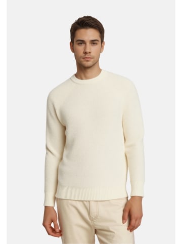 Only&Sons Strickpullover 'ONSDALE LIFE RLX LS' in beige