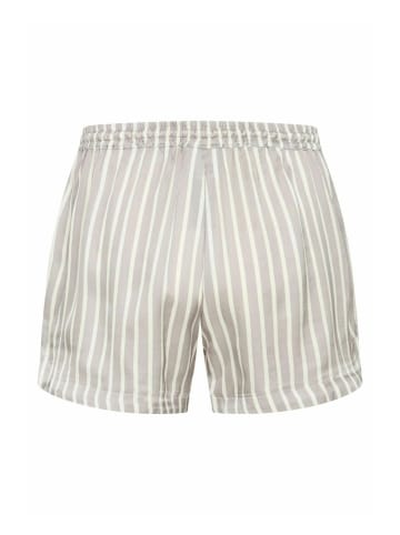 CCDK Copenhagen Shorts Philo in Alloy AOP