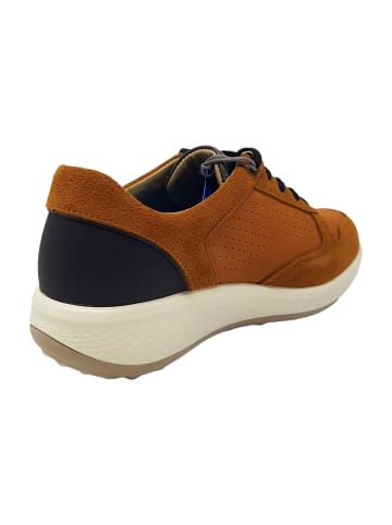 Joya Sportliche Schnürschuhe in Braun