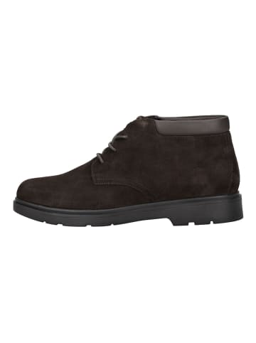 Geox Stiefelette in Dunkelbraun