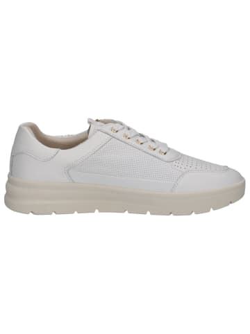 Caprice Halbschuh in WHITE NAPPA