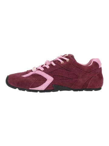 Steve Madden Sneaker ASIEL in Dunkelrot