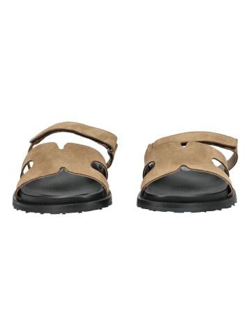 Steve Madden Pantoletten in Schwarz/Beige