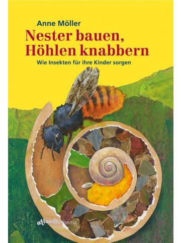 Atlantis Stolberg Nester bauen, Höhlen knabbern | Wie Insekten für ihre Kinder sorgen