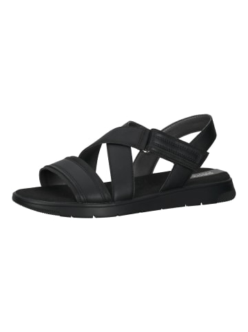 Geox Sandalen in Schwarz