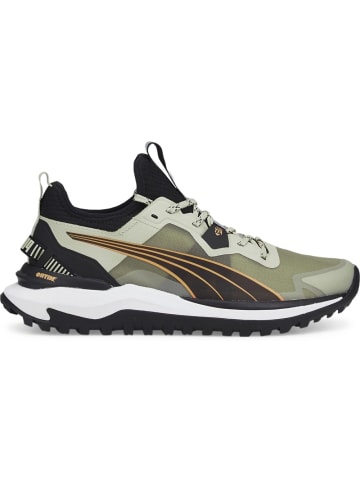 Puma Laufschuh in Grün