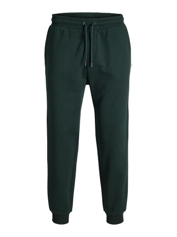 Jack & Jones Jogginghose in Scarab 1