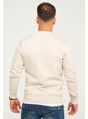 Jack & Jones Sweatshirt - POPS SWEAT CREW NECK in Moonbeam