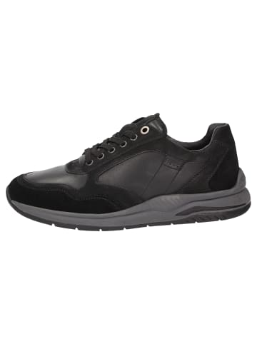 Sioux Sneaker Turibio-713-J in schwarz