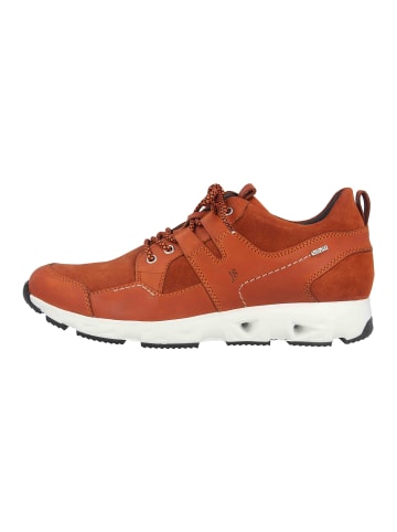 Josef Seibel Sneaker in Orange