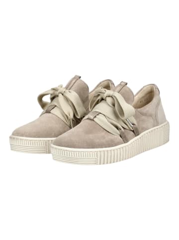 Gabor Sneaker Braun/Grau