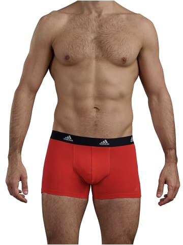 adidas Trunk BASIC in schwarz, braun, rot