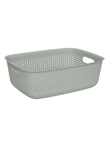 5five Simply Smart Aufbewahrungsbehälter SIENNE mit Griffen, 10 l in Seladon, 39 x 28,7 x 13 cm