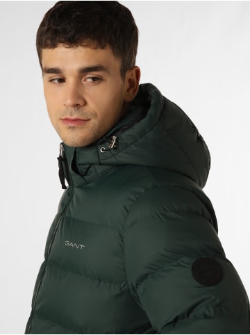 Gant Steppjacke in tanne