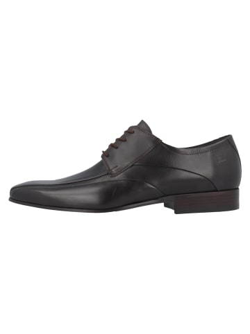 Fretz Men Business-Schuhe  in Braun