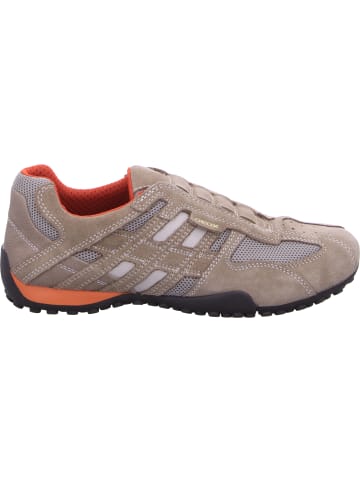 Geox Slipper in beige