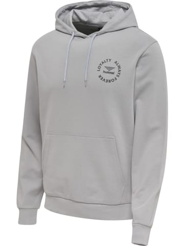 Hummel Hoodie in Silber